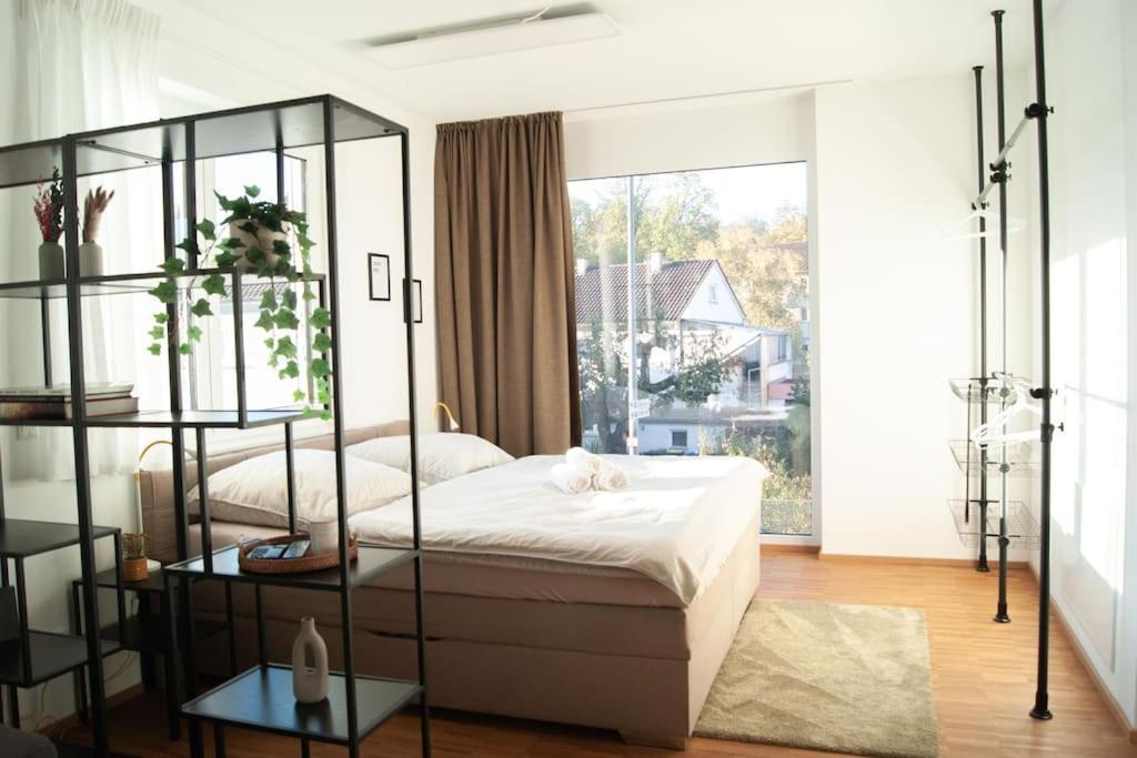 Studio Apartment Marbach 마르바흐암넥카 외부 사진