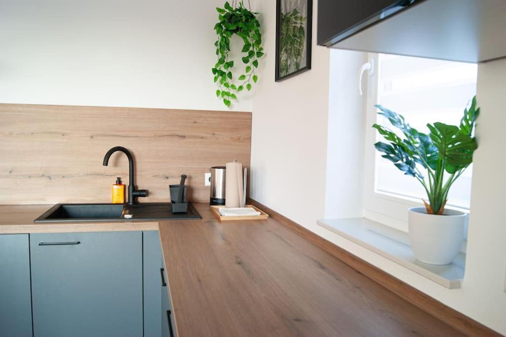 Studio Apartment Marbach 마르바흐암넥카 외부 사진